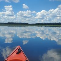 Clayton Lakeside logo