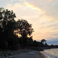 Cedardale Campground logo