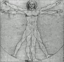 Downtown Physiotherapy Clinic logo