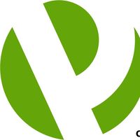 Primetime Custom logo