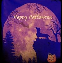 Jen's Dog Grooming logo