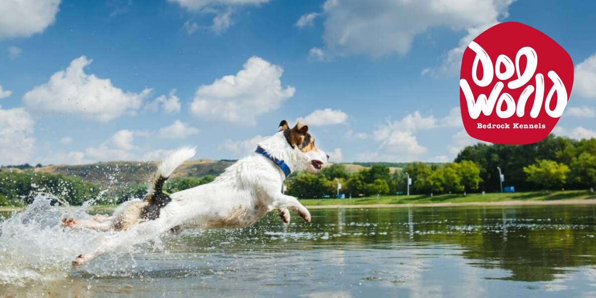 Dog World Bedrock Kennels logo