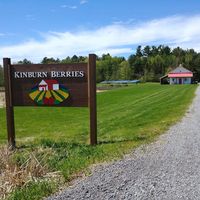 Kinburn Berries logo