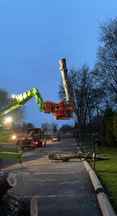 C & D Excavating & Tree Service Ltd - Cornwall, ON | Eastern Ontario Local