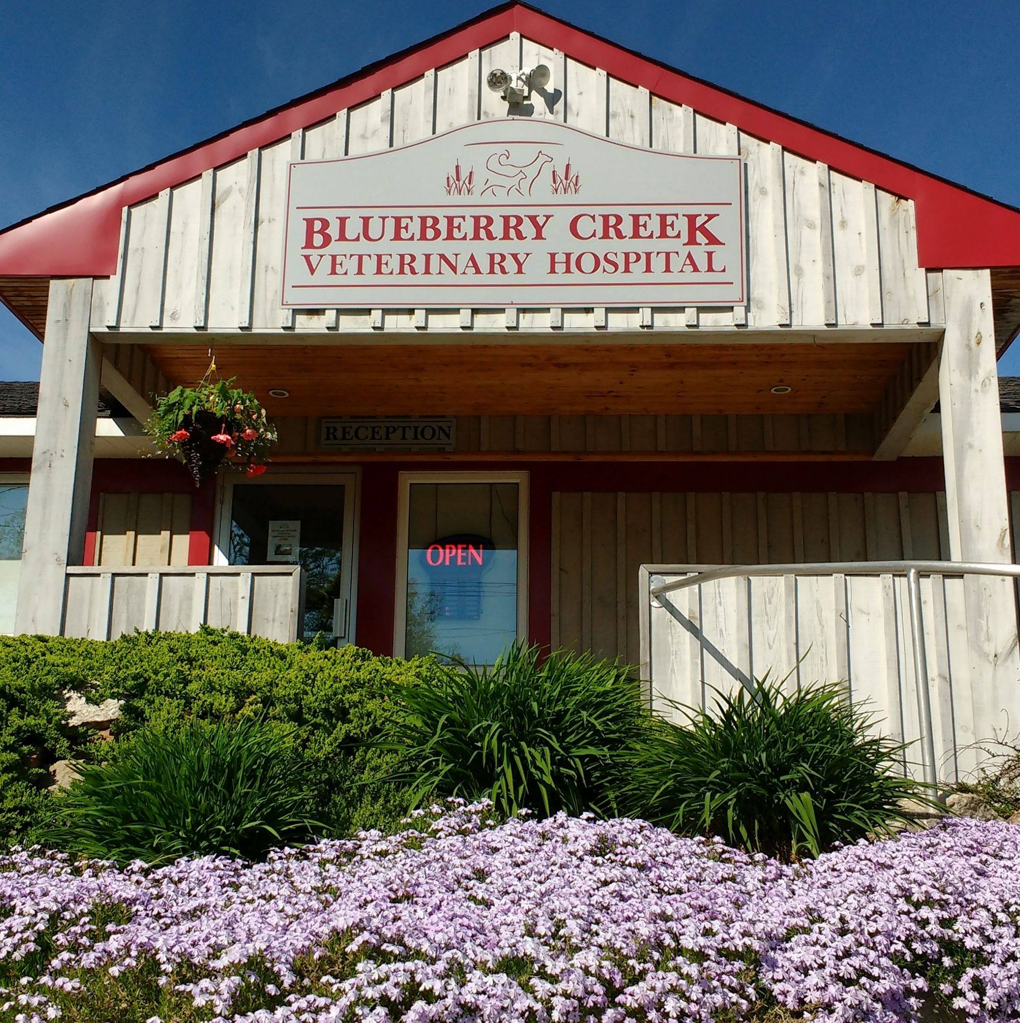 Blueberry Creek Veterinary Hospital Perth, ON Eastern Ontario Local