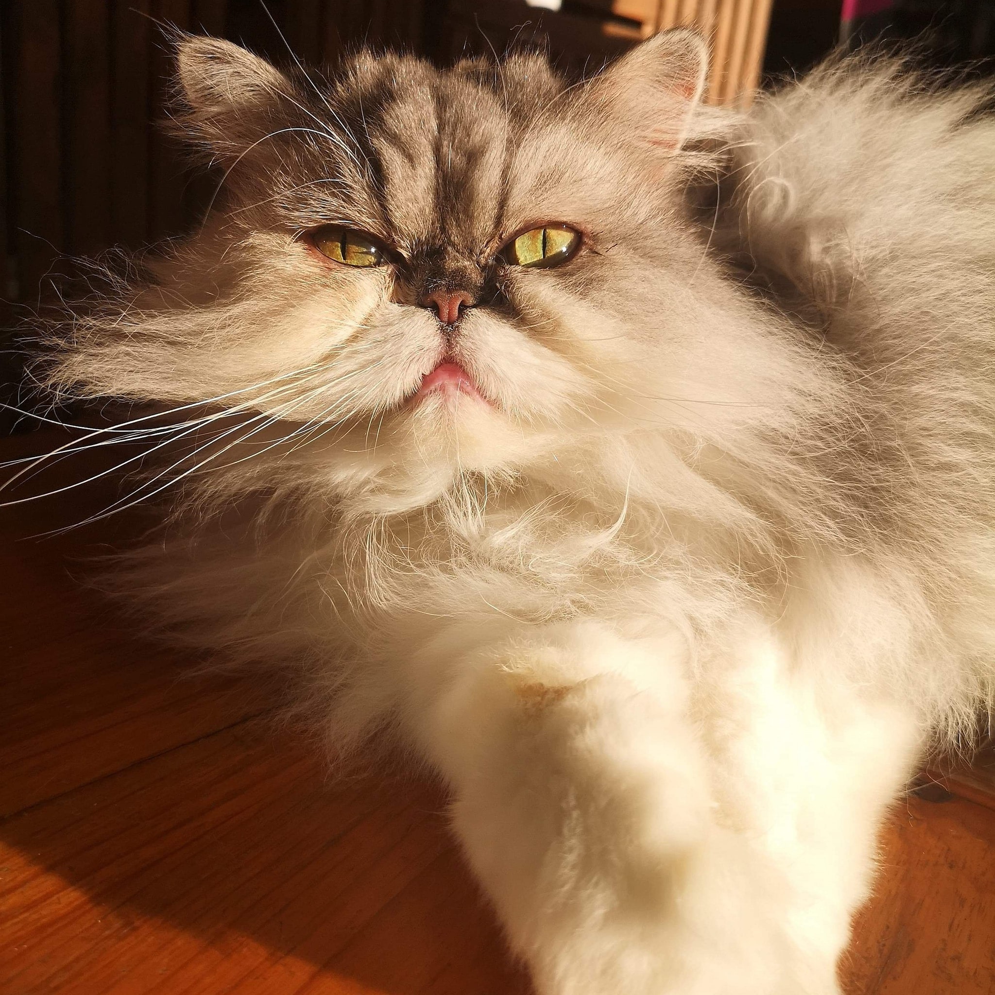 Tropical Gardens Pet Shop Belleville, ON Eastern Ontario Local