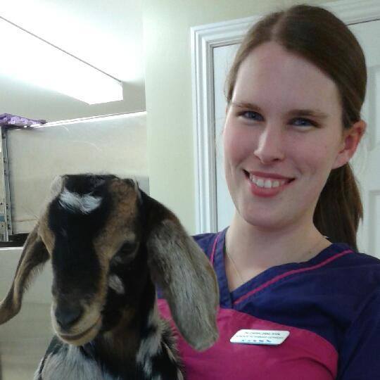 Almonte Veterinary Services Almonte, ON Eastern Ontario Local